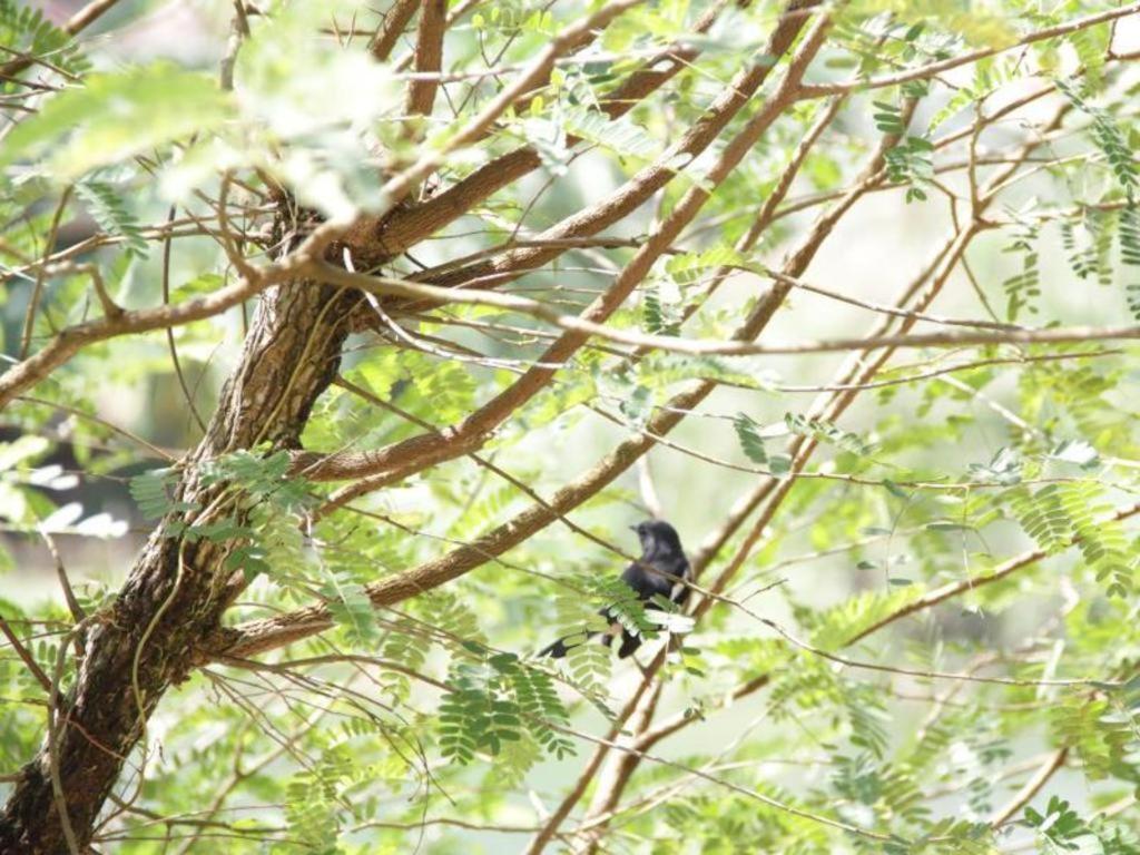Rommai Rimnaam Resort Ranong Zewnętrze zdjęcie