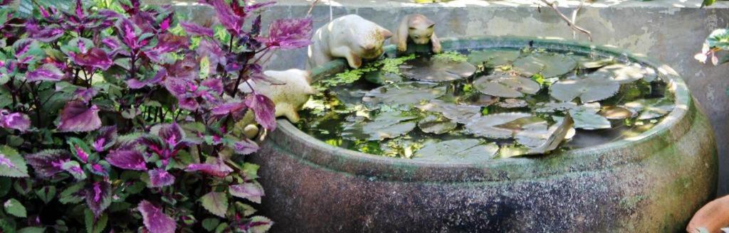 Rommai Rimnaam Resort Ranong Zewnętrze zdjęcie